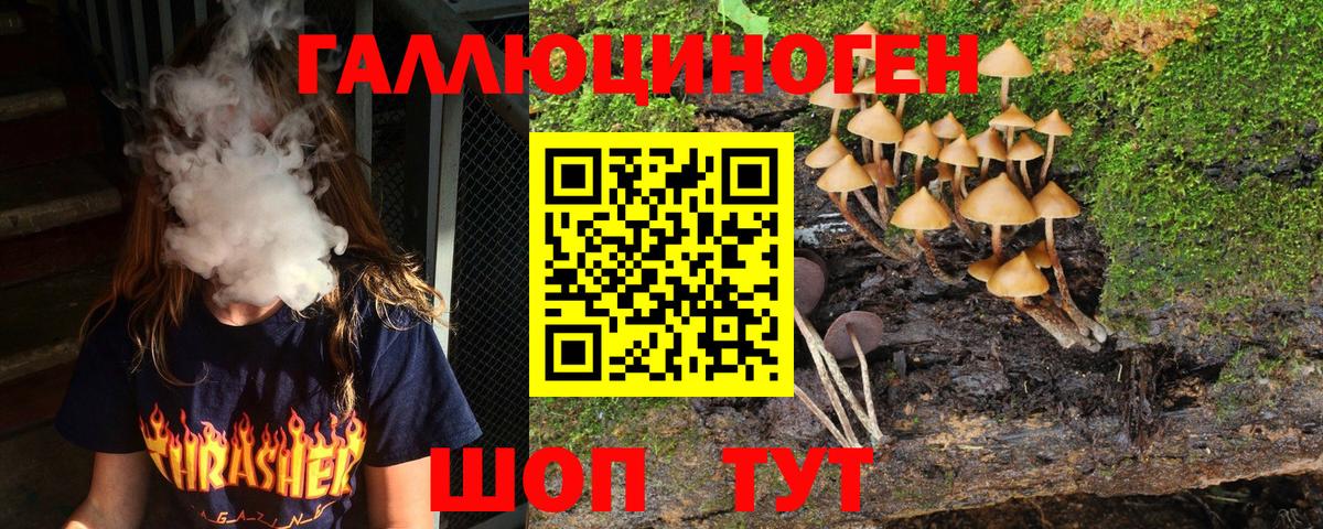 Орёл  Псилоцибиновые грибы Psilocybine cubensis  Вход с VPN 