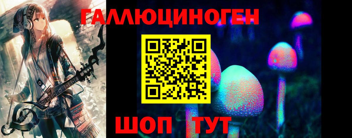 Псилоцибиновые грибы Psilocybe Орёл